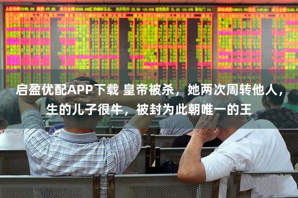 启盈优配APP下载 皇帝被杀，她两次周转他人，生的儿子很牛，被封为此朝唯一的王