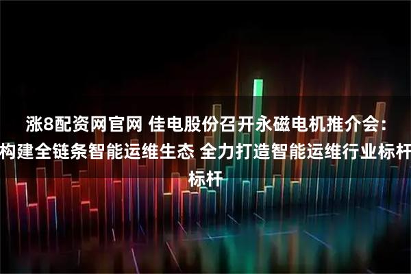 涨8配资网官网 佳电股份召开永磁电机推介会：构建全链条智能运维生态 全力打造智能运维行业标杆