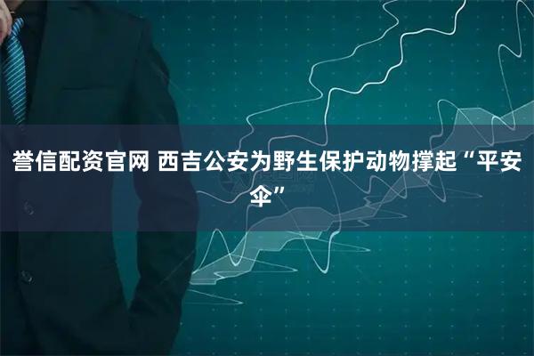 誉信配资官网 西吉公安为野生保护动物撑起“平安伞”
