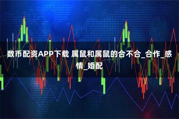 数币配资APP下载 属鼠和属鼠的合不合_合作_感情_婚配