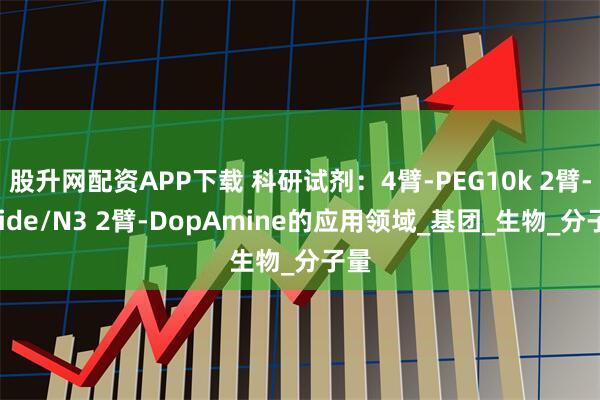 股升网配资APP下载 科研试剂：4臂-PEG10k 2臂-Azide/N3 2臂-DopAmine的应用领域_基团_生物_分子量